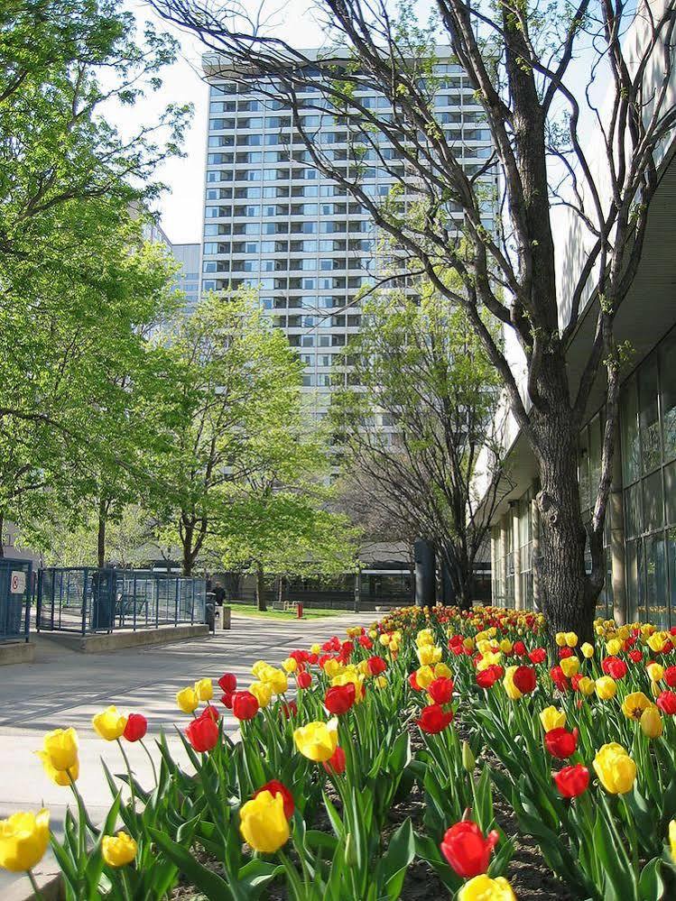 Chestnut Residence And Conference Centre - University Of Toronto Dış mekan fotoğraf